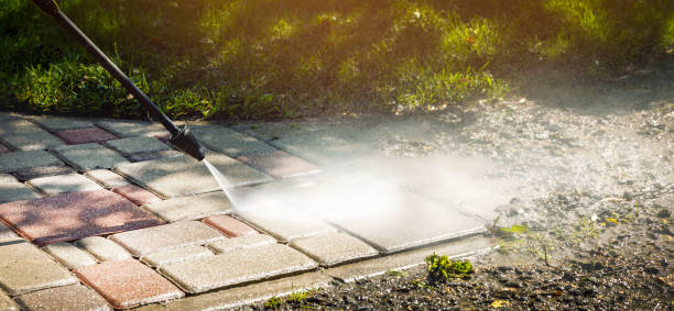 Best Animal Enclosure Cleaning  in Palermo, NJ